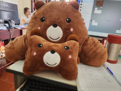 Gối xinh dã man, chất vải mịn, êm lắm, ko bị nóng nha mn, dùng làm gối nằm ngủ cũng được luôn, tiện lợi, cho shop 5 sao