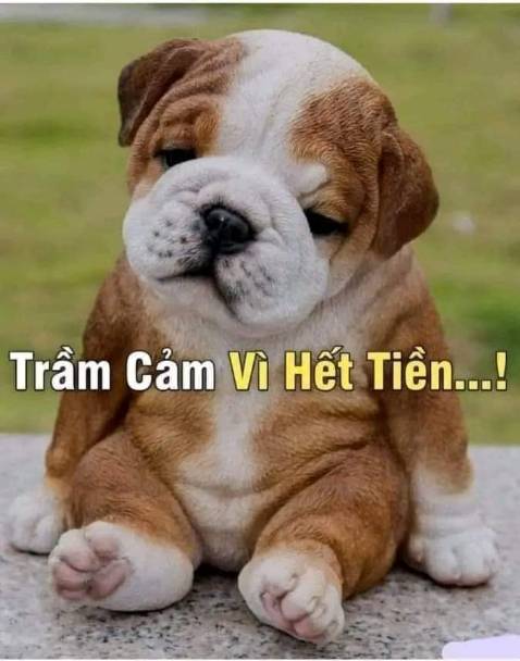 Sản phẩm đúng chất lượng như quảng cáo