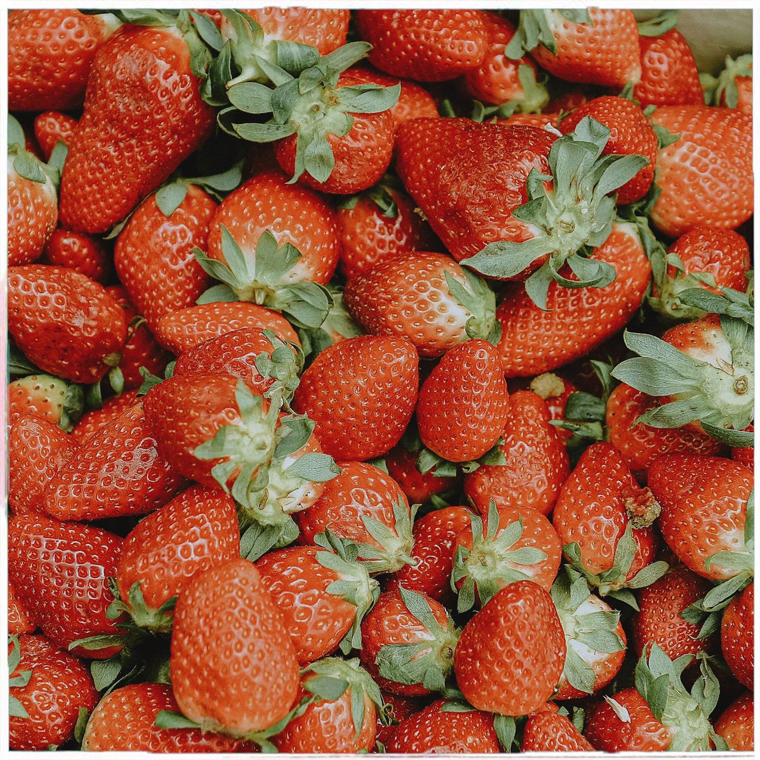 Sách giao nhanh và cẩn thận, nội dung tuy mình chứ đọc nhưng có vẻ khá hay ^^