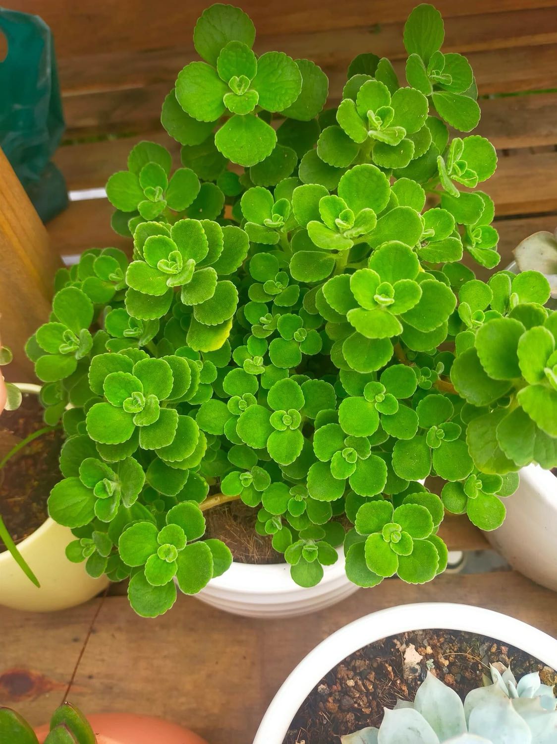 Một cuốn sách thú vị. Tiki giao hàng nhanh, giá rẻ