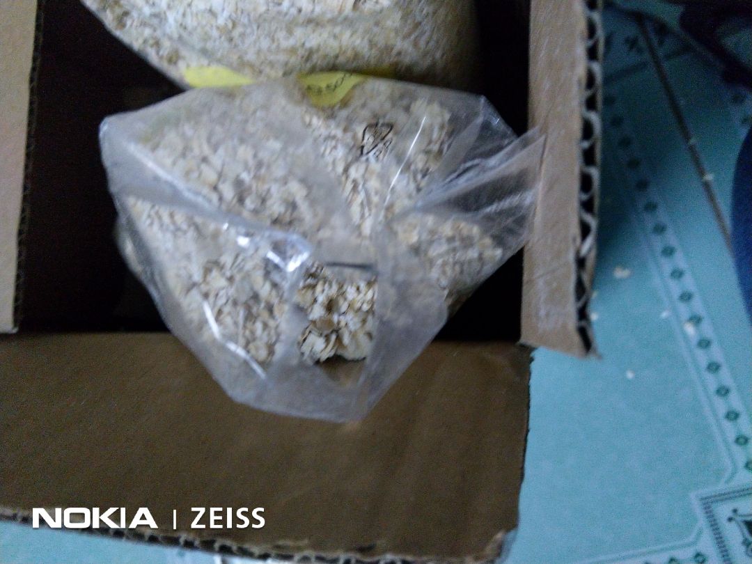 Túi yến mạch bị bể ra, rơi yến mạch ra ngoài, đóng gói không cẩn thận. Hơi bực mình