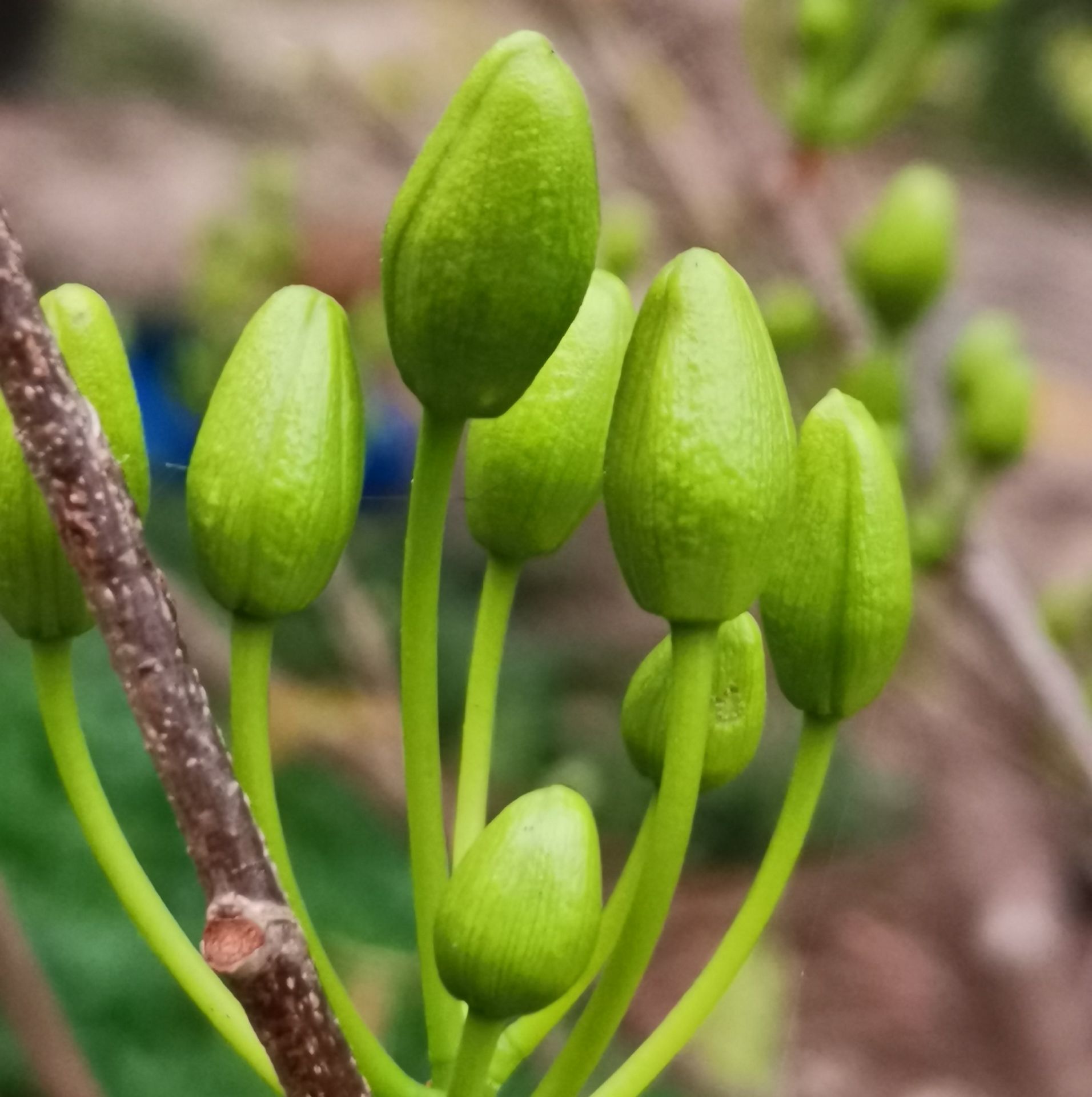 sản phẩm ok, date 2023 xa.