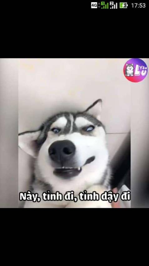 Mẫu mã đẹp và sản phẩm đóng gói cẩn thận.