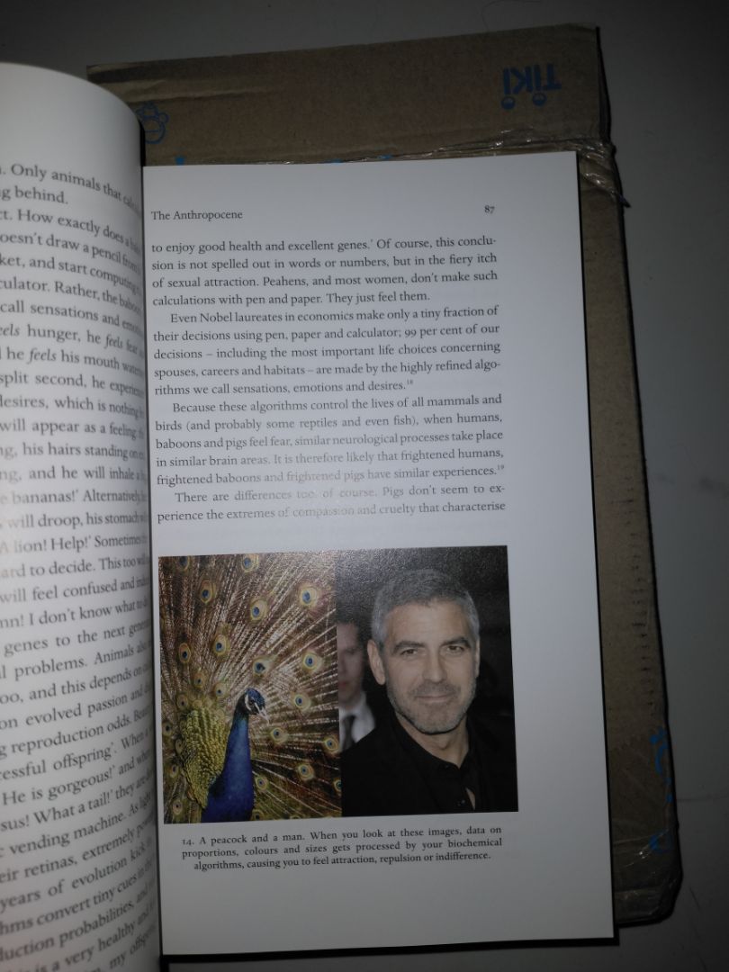 -Giao hàng nhanh.
-Sách mình nhận được là giấy bóng, in màu đẹp, và nặng.
-Bọc bookcare bị lỗi ở bìa sau!