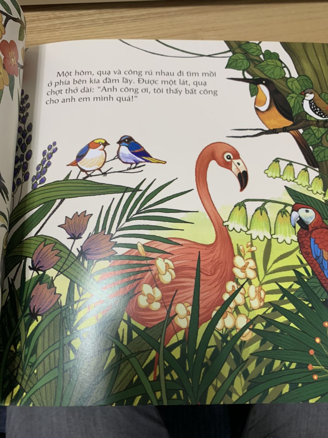 Giao nhanh, sách còn mới, nét vẽ đẹp