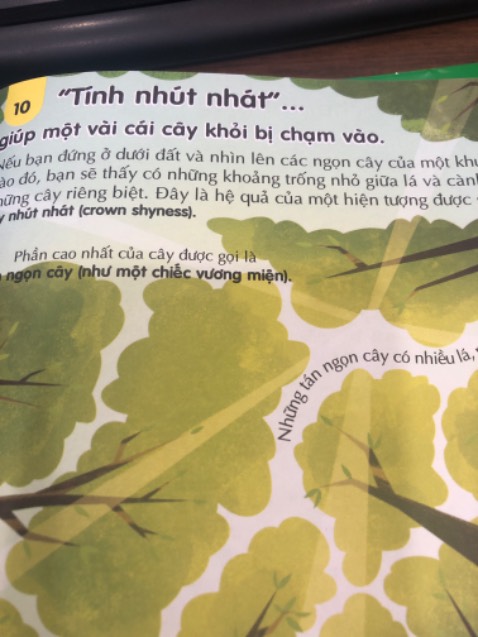 Sách đẹp, nội dung phong phú. Đóng gói cẩn thận.