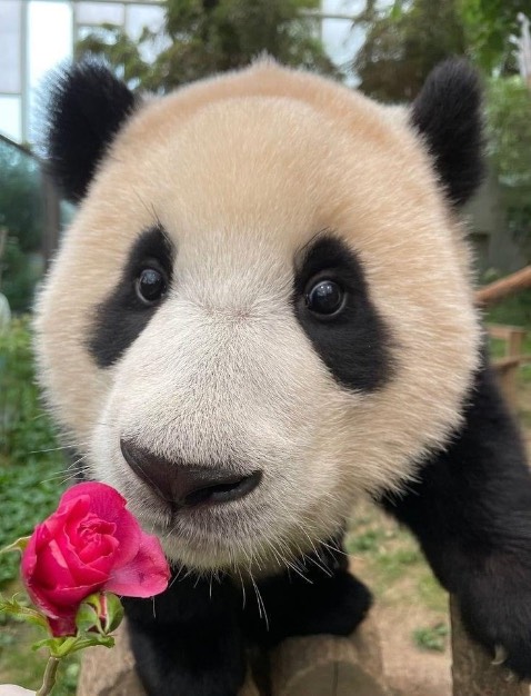 Sách được giao nhanh, nội dung thú vị