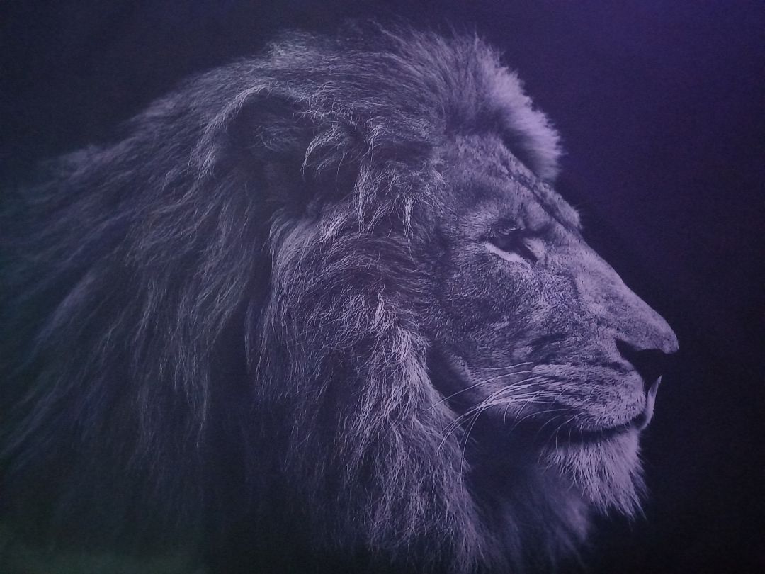 vải dày dặn, hình giống trên ảnh