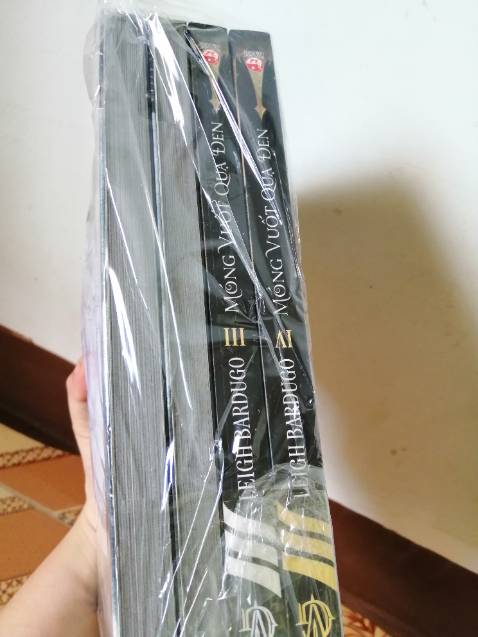 Một trong những bộ sách hay nhất mình từng đọc. Mình chưa đọc bộ Bóng tối và xương trắng, nhưng Six of Crows thật sự để lại trong mình quá nhiều cảm xúc. Từ nhân vật, lời thoại, hình ảnh đến thế giới giả tưởng. Chỉ mong sẽ có nhiều bạn biết đến bộ sách này.