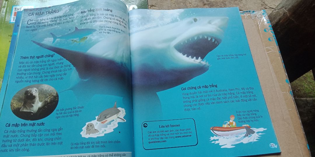 Đóng gói cẩn thận. Giao đúng hàng đã đặt. Shipper nhiệt tình