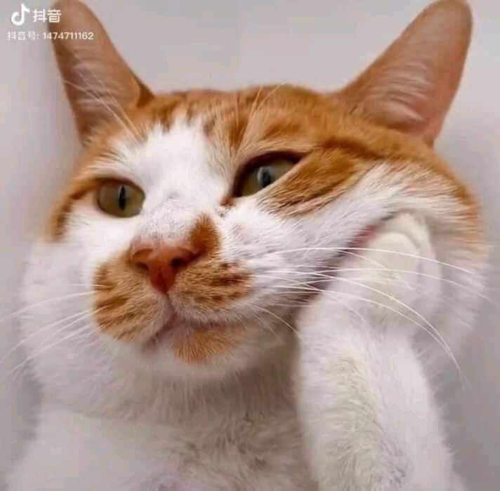 Quyển này mình không biết nội dung có hay không nhưng nhìn tên đoán có yếu tố thriller nên vẫn xách giò lên săn?
dù sao cũng được Tiki ủng hộ săn deal thành công và giao hàng siêu tốc nên tim cái nad❤️❤️❤️