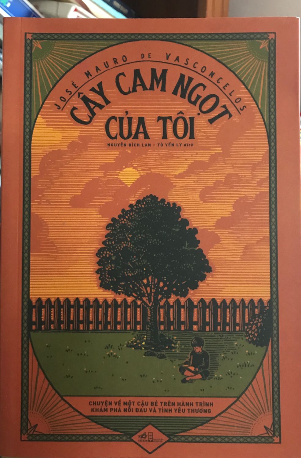 Ngàn mặt trời rực rỡ và Cây cam ngọt của tôi là hai tác phẩm vô cùng hay. Ngàn mặt trời rực rỡ cho ta thấy về thân phận đáy cùng của người phụ nữ Hồi giáo trong xã hội cũng như sự khốc liệt của chiến tranh, nội chiến ở Afghanistan. Cây Cam ngọt của tôi lại khiến người đọc thổn thức về một em bé có suy nghĩ lớn trước tuổi, về tình bạn giữa người già và trẻ nhẻ, về sự đồng cảm vô tận hiếm có