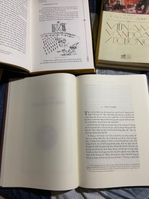 Về phần bìa sách Việt Nam Văn Hoá Sử Cương (Đào Duy Anh) của NXB Đông A có phần đẹp và sáng tạo hơn bản của Nhã Nam. Đông A làm phần bìa sách mang tính kế thừa sáng tạo nghệ thuật phần bìa sách. Nhã Nam chỉ mang tính sao chép cái cũ phủ thêm tí chất liệu thiết kế máy tính thuần tuý. Bìa Đông A mang tính nghệ thuật ý tứ nhiều tầng lớp nhưng cũng sinh ra rối rắm về hình khối.

Nội dung và hình ảnh sách in bên trong thì Đông A thực sự tạo ấn tượng thừa giấy vẽ voi, cố gắng làm thêm, làm thừa, làm thải thêm những trang, những khoảng cách giấy trắng vô nghĩa. Chất liệu giấy in của Đông A quá mỏng cảm thấy so với giá tiền in trên bìa là 390.000 đồng chưa chiết khấu giảm giá là chưa thực sự hợp lý, hợp lẽ. Màu sách bản bìa cứng màu mực in hình ảnh minh họa màu bã trầu nhìn lâu chẳng thấy sâu lắng.

Sách bìa mỏng VNVHSC của Đông A mình thấy in khá ổn nên đã hết hàng.

Cảm nhận riêng cá nhân mình thấy quyển sách bìa mỏng của nhà Nhã Nam là đạt chất lượng nhất về mọi điểm từ giá thành, chất lượng tới nội dung in ấn. Các bản sách bìa cứng Việt Nam Văn Hoá Sử Cương của Đông A và Nhã Nam thực sự kém và không xứng đáng với giá tiền người mua bỏ ra để đọc, thưởng thức và sưu tầm. Mua để hiểu để biết để xem xét đánh giá thì ổn. Chứ mua để đọc thì bìa mềm Nhã Nam là lựa chọn sáng suốt nhất.