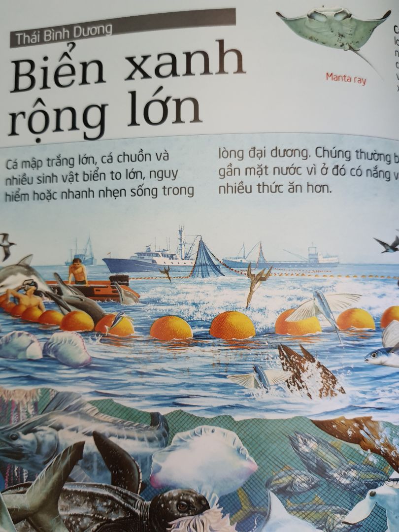 Sách hay cho thiếu nhi, vừa cung cấp kiến thức về biển mà còn có những câu hỏi để khám phá