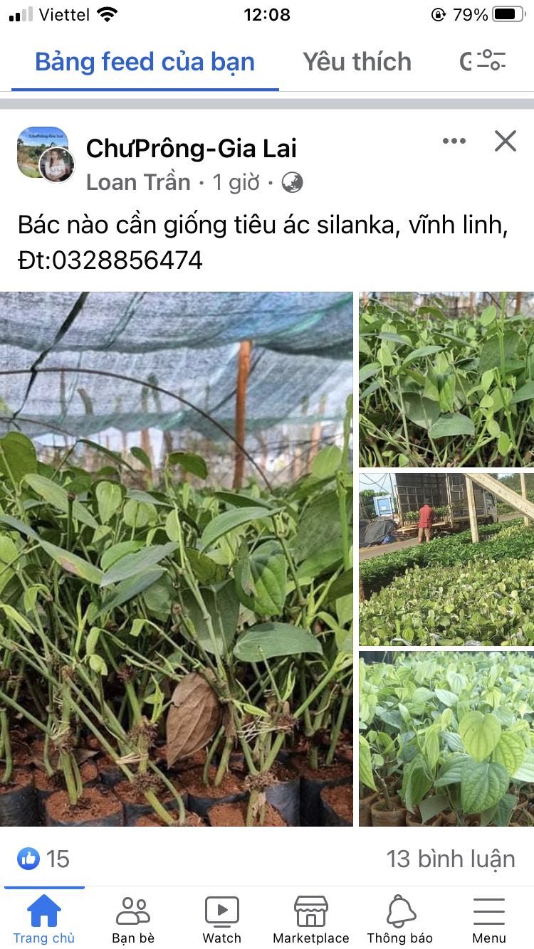 Shop trả lời nhiệt tình . Đóng gói hàng lại nhanh để gửi cho mình. Rất hài lòng và sẽ ủng hộ dài lâu. Hình ảnh mang tính chất nhận xu. Hàng chất lượng đảm bảo mọi người nên mua