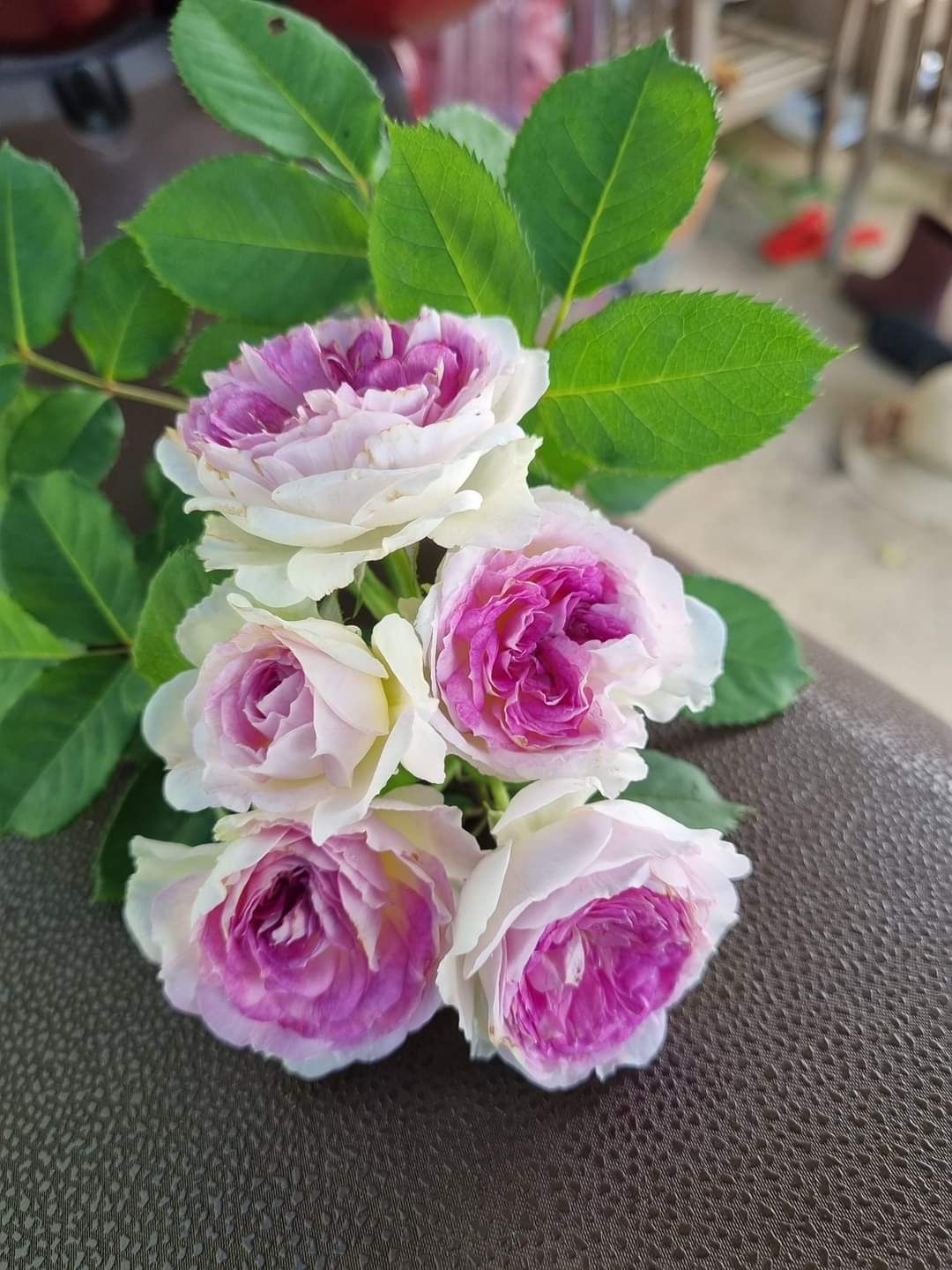 Sản phẩm phù hợp với giá