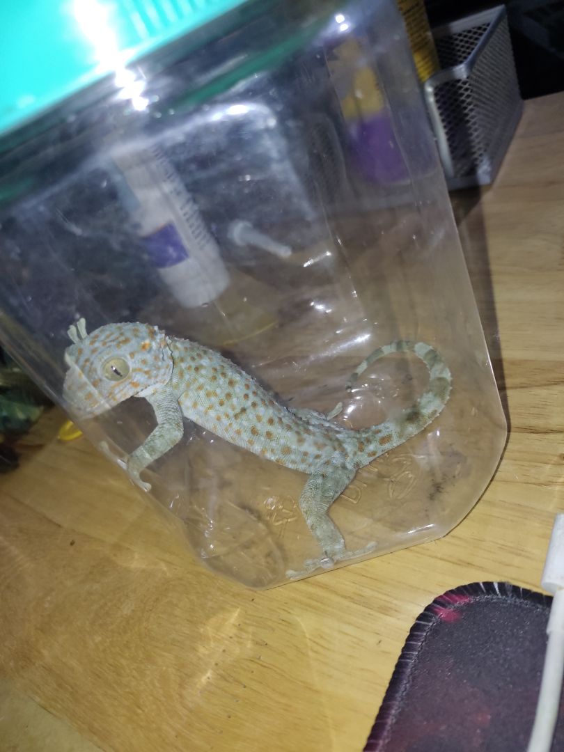 Mình có vài con camera Imou Bullet 2C 4MP, dòng camera Ngoài Trời, Chống nước IP67, Chuẩn nén H265 !
Hàng new chính hãng, giá pass nhanh ch