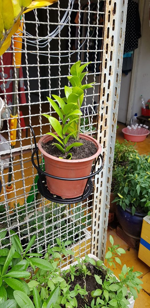 rất tiện.  đẹp