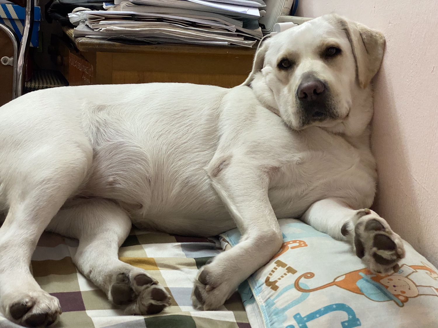 Sản phẩm chất lượng