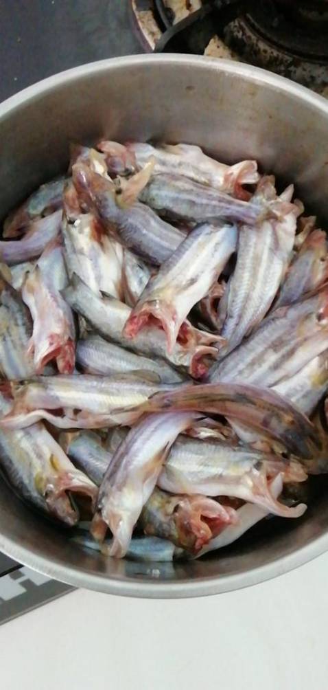 cho shop 5saoHàng khá chắc chắn đặt 2 lần r thank shop