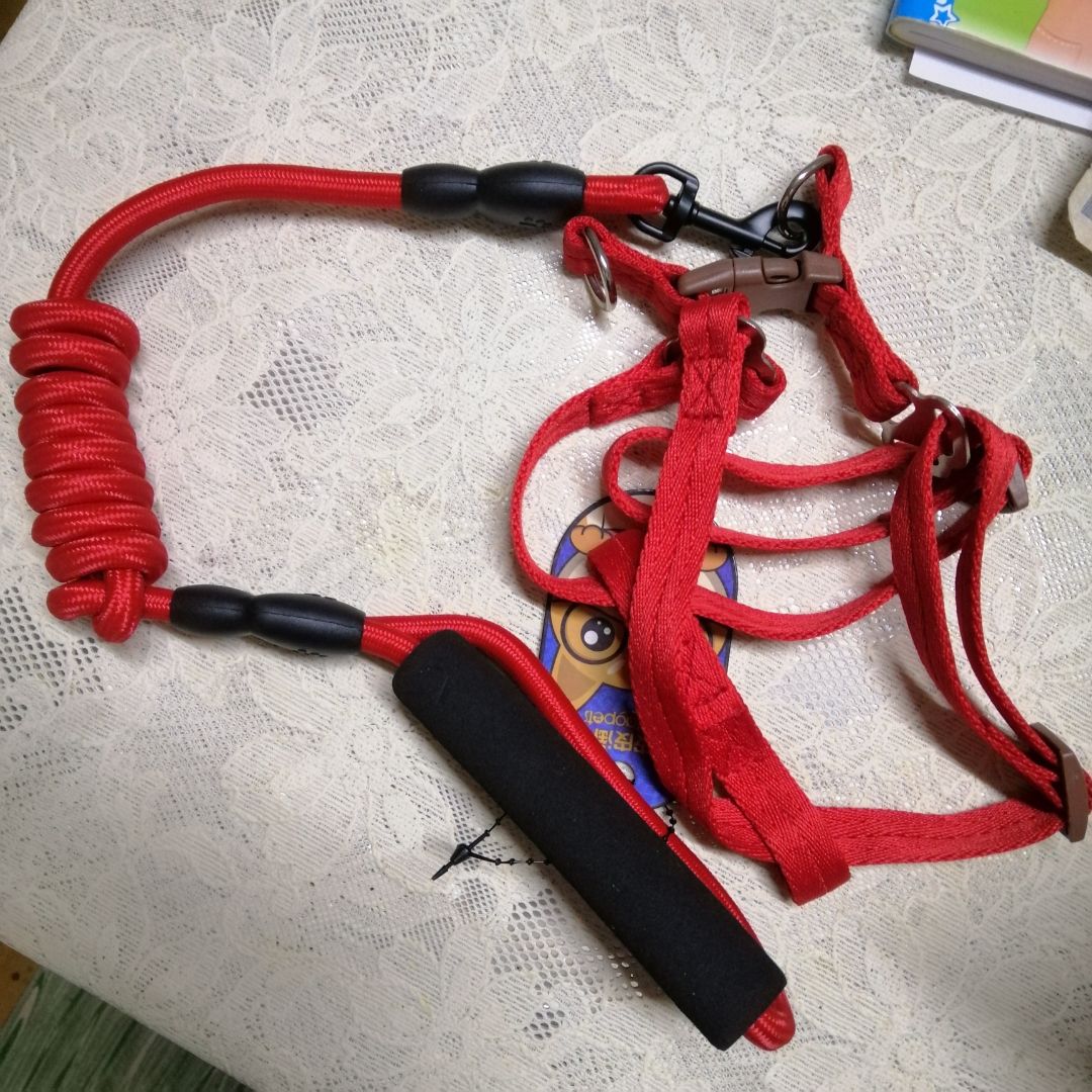 Dây rất là mới, đẹp. Dây dắt không quá dài và vướng víu, cầm nắm cũng thoải mái. Cái đai rất chắc, *** nhà mình lúc đầu không quen nên hay dùng chân sau đẩy ra nhưng vẫn không tụt, cài đai vào nhìn rất ngầu.