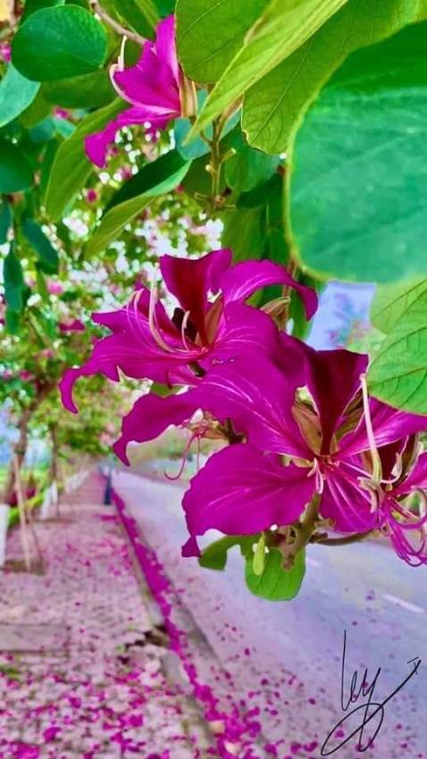 Sp ok. Nhưng hơi bé so với ví cầm tay