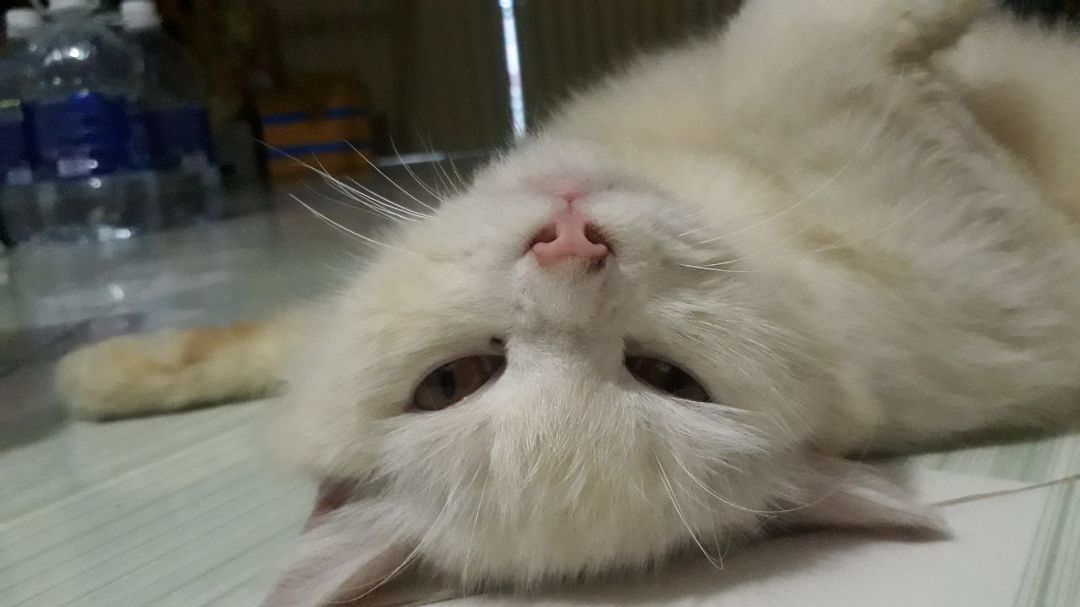 thời gian giao hàng nhanh chóng, đóng gói đep, sẽ tiếp tục ủng hộ nếu chất lượng tốt