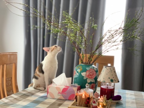 Máy nhìn cool chưa dùng nên kg biết máy mạnh kg nữa Máy nhìn cool chưa dùng nên kg biết máy mạnh kg nữa