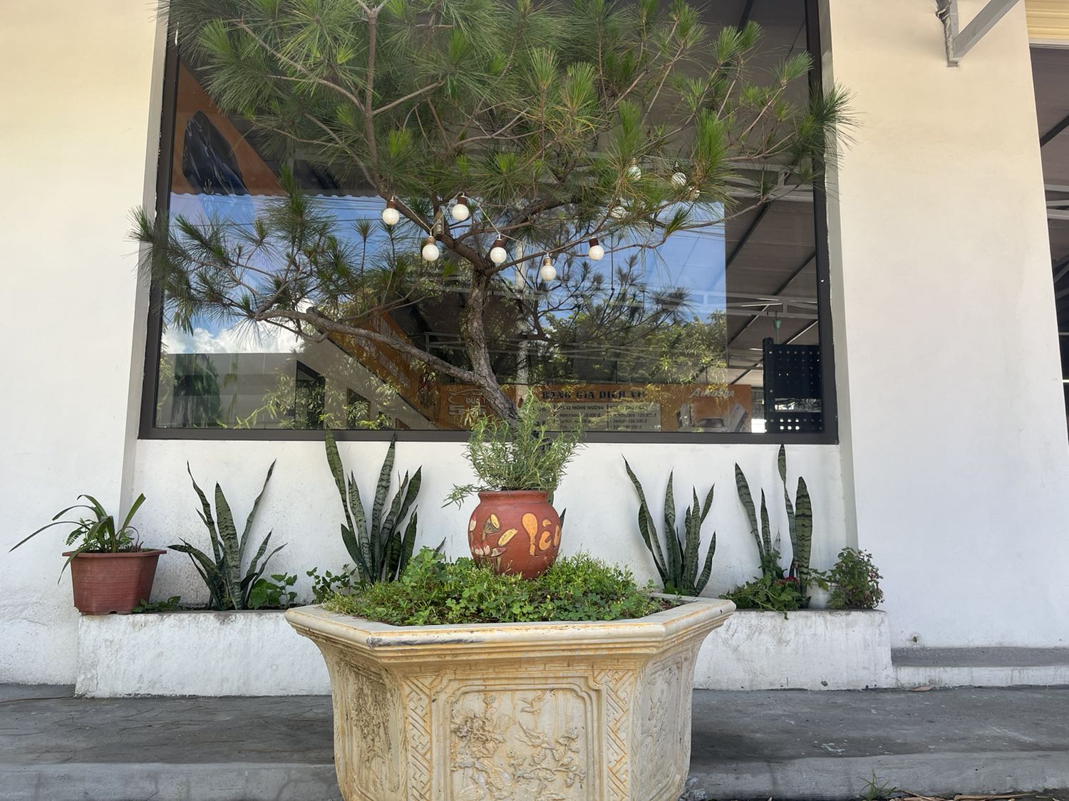 Tạ đẹp cầm gọn tay ok đấy Tạ đẹp cầm gọn tay ok đấy