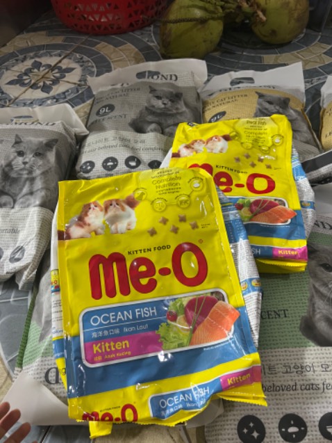 Mèo nhà mình rất thích ăn Mèo nhà mình rất thích ăn