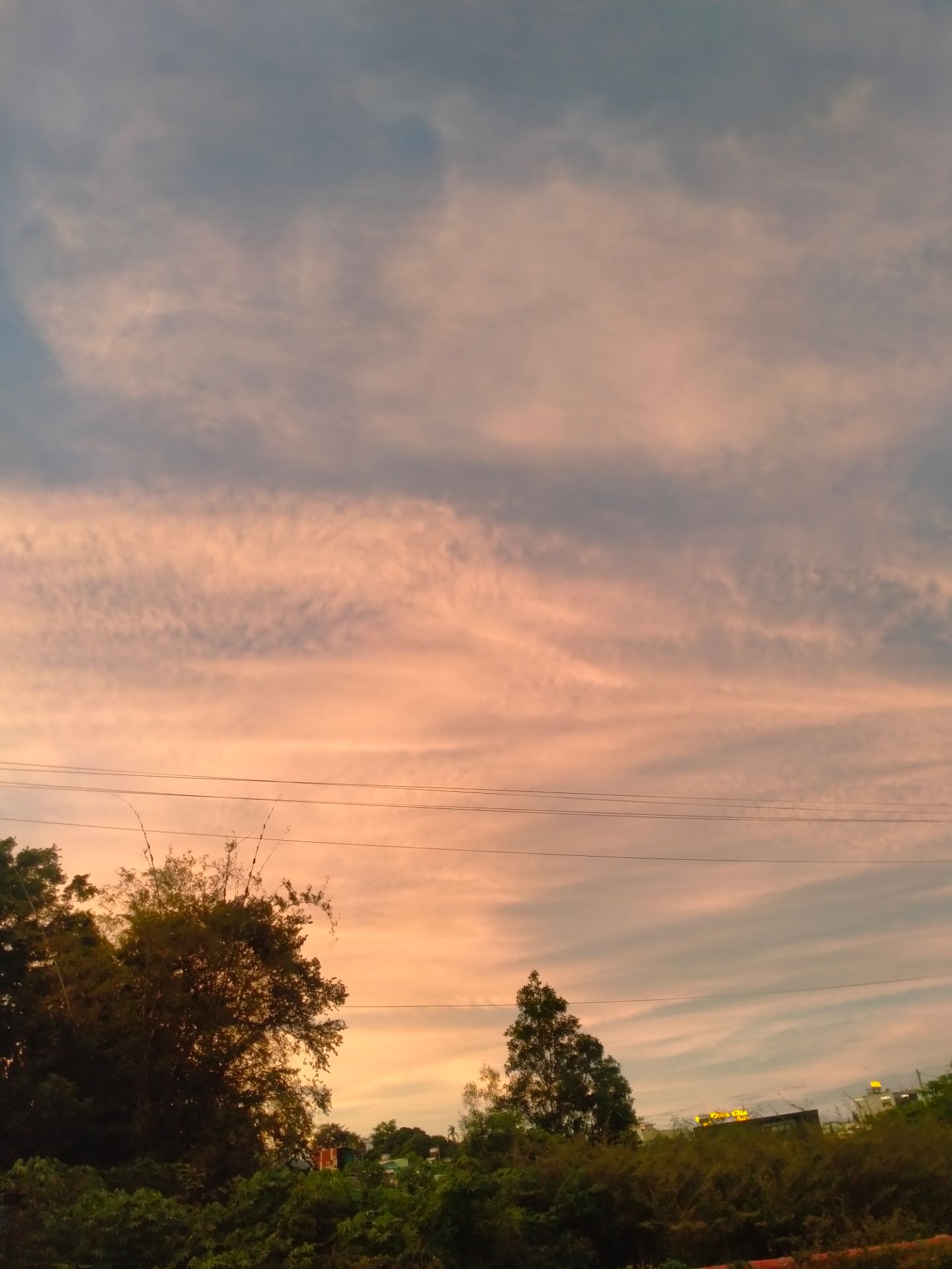 ngon , bổ , rẻ , giao siêu nhanh , đóng gói 2 lớp thùng , bọc kĩ