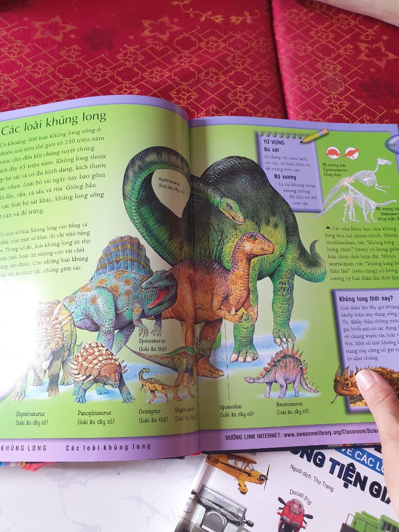 sách rất đẹp. nội dung phong phú. thích hợp với bé 5t trở lên. đc giảm 50% giá nên cực kì hài lòng