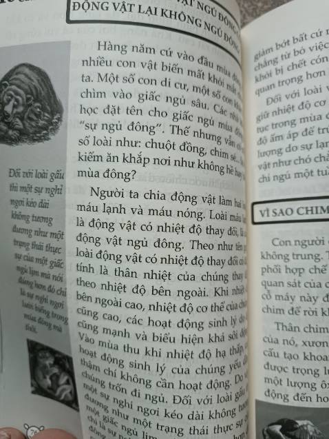 Sách được đóng gói cẩn thận.Nội dung phong phú đa dạng rất bổ ích cho trẻ.Bé nhà mình rất thích