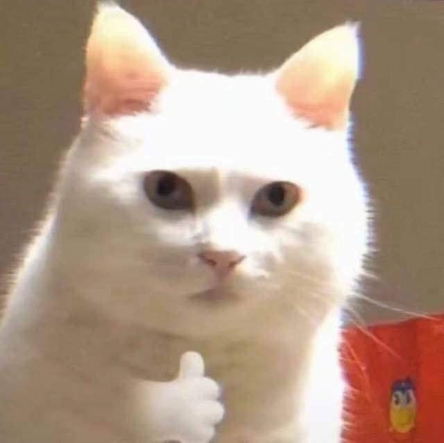 gôm ổn ạ, mỗi tội hơi bé mụt xíu, giao hàng nhanh 💗