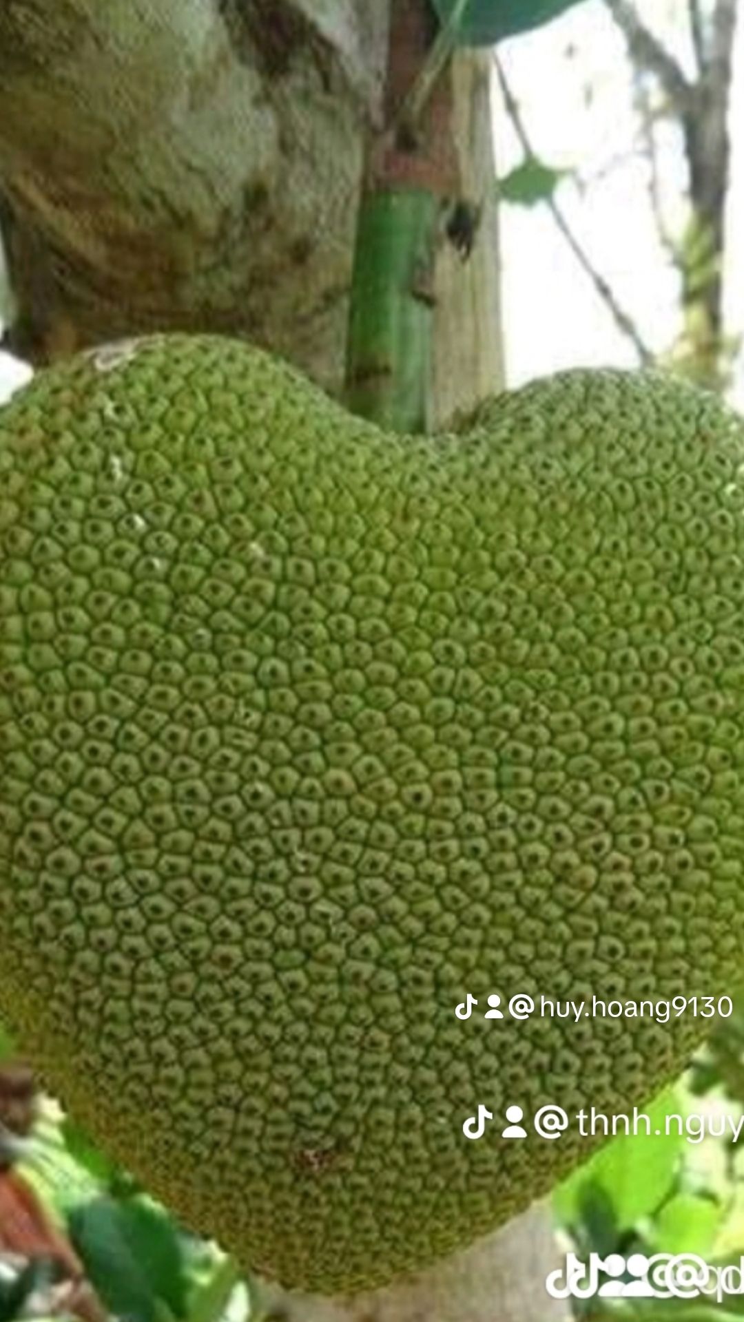 Tốt......................