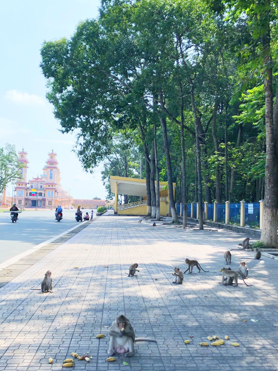 tốt nxbxxjkxjjsjxjdjdjjdjdjdjdjdjxjxjjxjxjxjxjxkkxkxkxkxkxkxixiixkxkxixixkxicijcjcjxjxjjcjxjcjxjjxjxjxjxjxjxjjxjxjxjxjxjjxjxjxjxjxjxjxjxjxjjđjjdjdjdjdjxjxjjxjxjxjjsjjsjsjjsjsjjdnxjjdjdjsjsjsjjdjdjdjjdjdjdjdjjdkxkkxkxkxkkxkxkdskskkskskskkdkdmdndkkskskskskkskdkkdkdkdkkdkdkdkkdkdkskksksskkskskskkskdkkdmdnxnnxjxjsjsjjsjsnsnnsnsnsnsnndnđjndndndndjjdjdjdjdjjdjdjdjdjdjjdjsjsjsjsjkakakakakakkakakakkakkakkakskskkskskskskkskskskkskdkdkdkdkdkdkkdkdkdkkdkdkdkdkdkkskskskskskkskskskskkskskskkskskskskkskskskskkskskskkskskskkskskskskkskskskskskskkskskkskskskkskskskkskskkskskskskkskkskskskkskskkskskkskskskskksksskskkskskskkskskskskskskkskskskkskskskkskskkdkdkdkkdkdkdkkdkdkkdkskskskskkskskskkskskskkskakkâkkskskkskskskkakkskskskskskksskskskskksksksjsjsjsjjsjsjsjdjdjdjdjkdkdkskskskskksksksskksksk