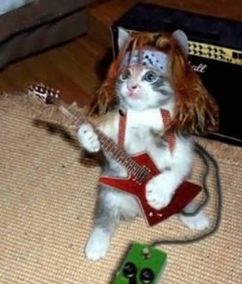 Đc đó 3 dây đàn ngon tặng thêm cái pick của alice mềm dẻo nha mn nên mua ơ cai djt me sau phải gt cho bn bè ae bt shop này mới đc