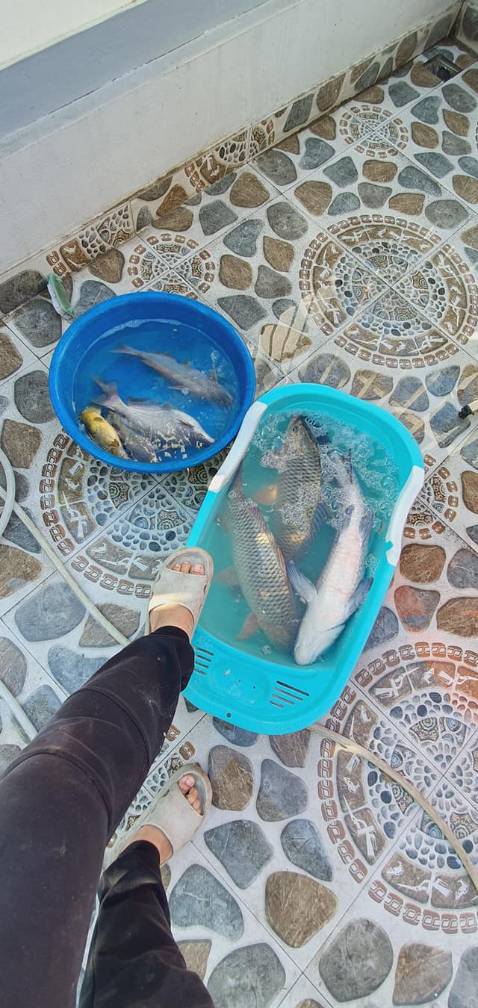 Hang ok hop voi gia tien