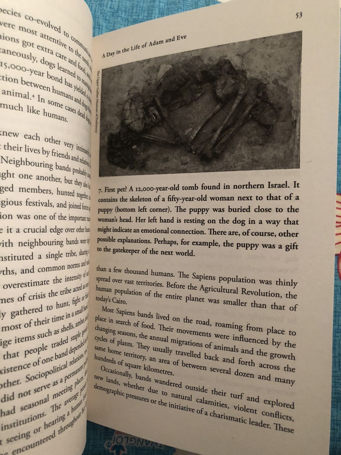 Sách được giao vô cùng nhanh chóng, đặt tối hôm trước mà chiều hôm sau nhận được rồi. Sách cực kỳ đẹp, không lỗi, còn nguyên bọc ni lông, sách cũng được bọc thêm một lớp mút bên ngoài để tránh hư hỏng trong quá trình vận chuyển, thích đặt bên Fahasa là vậy, rất chăm chút các chi tiết nhỏ này. Mình đặt thử bản tiếng Anh theo gợi ý của bạn, thấy sale mạnh là hốt liền. Rất đáng tiền, nội dung hay và bổ ích. Mình đọc khá chậm do có nhiều từ khó hiểu nên phải tìm hiểu/ tra lại, vì thế không nhận xét sâu hơn được.