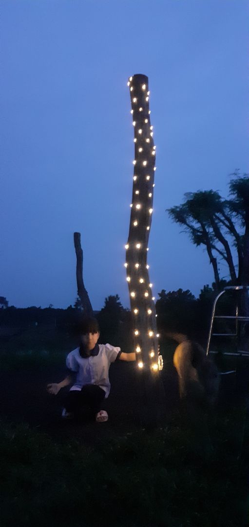 Sản phẩm rất tốt, dùng pin AA 3 viên sáng từ 18h tối đến 6h sáng hôm sau vẫn còn. Nếu có đầu USB thì tuyệt vời.