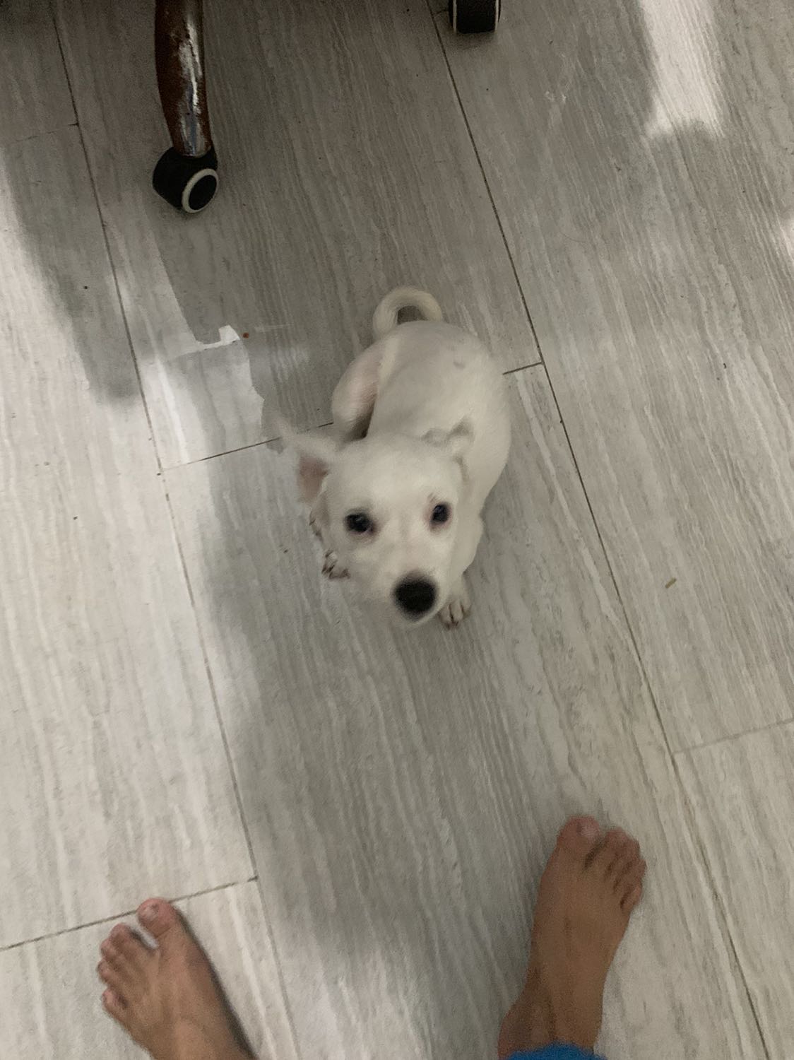 Giao hàng nhah . Sp thi dùng mới biết dk . Tạm chấm 5 sao