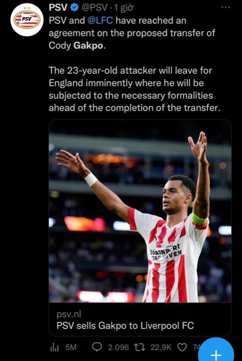 Tiki Trading là một gian hàng trực tuyến chuyên bán các sản phẩm chính hãng từ các thương hiệu, được Tiki phân phối và bán hàng trực tiếp đến người tiêu dùng. Có thể hiểu Tiki Trading giống như bất kì một shop online bất kỳ bán đa dạng sản phẩm trên nền tảng sàn thương mại Tiki với giá cả khá cạnh tranh.