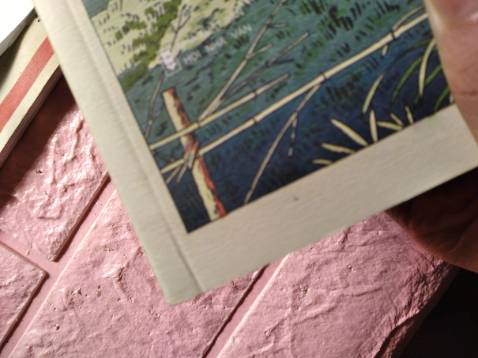 Sách bị df ở khá nhiều chỗ, cấn bìa, cấn gáy, bị nhăn bìa,etc etc... Không seal không bookmark gì hết. Thôi thì chấp nhận được cũng chẳng đến nỗi.