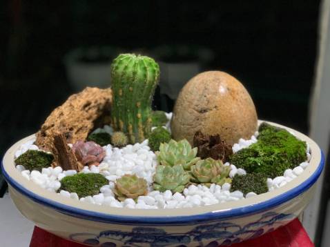 Sản phẩm ok nha , cần chắc chắn đẹp như quản cáo