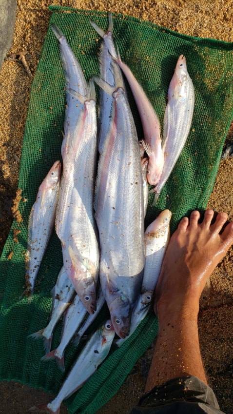 Giao hàng khá nhanh ⭐⭐⭐⭐