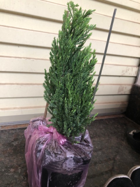 Sản phẩm đúng mô tả