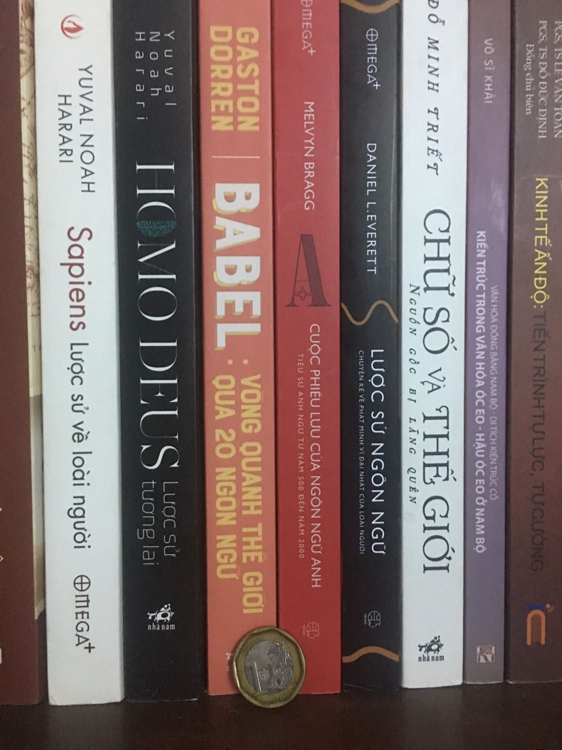 Anh ngữ là thứ ngôn ngữ quốc tế, nhưng quá trình để nó trở thành một thứ tiếng quốc tế như thế nào, Anh ngữ ở từng nước có đặc điểm gì? Cuốn sách sẽ cho ta rõ điều đó. Sách cần thiết cho ai nghiên cứu ngôn ngữ Anh