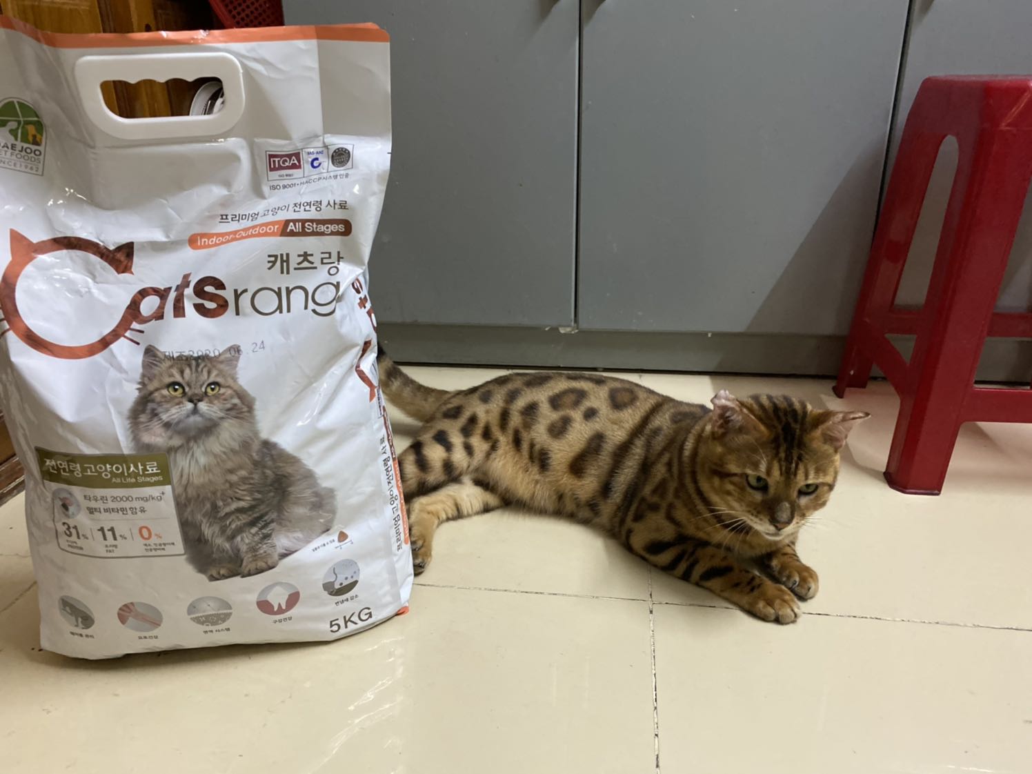 Mèo ? nhà thường ăn Royal Canin nhưng giá mắc quá nên bây giờ đổi sang Catsrang , tụi nó vẫn ăn. Shop bán giá rất rẻ, có mã giảm giá nên bịch 5 kg chỉ còn 306k. Bao đựng có những lỗ chấm thủng nhỏ nên trút sang đựng trong thùng nhựa cho tiện bảo quản . Mèo ? nhà thường ăn Royal Canin nhưng giá mắc quá nên bây giờ đổi sang Catsrang , tụi nó vẫn ăn. Shop bán giá rất rẻ, có mã giảm giá nên bịch 5 kg chỉ còn 306k. Bao đựng có những lỗ chấm thủng nhỏ nên trút sang đựng trong thùng nhựa cho tiện bảo quản .