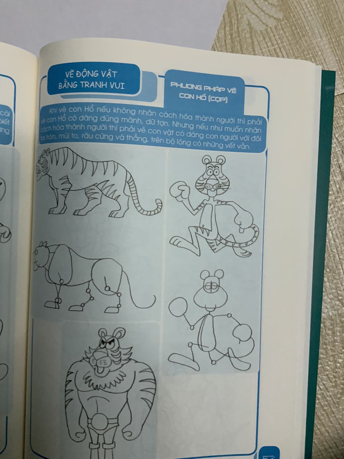 Chat luong san pham tuyet voi! Dong goi rat dep va chac chan. Sach hoc ve rat hay phu hop danh cho nguoi moi bat dau tap ve. Shop phuc vu nhiet tinh???