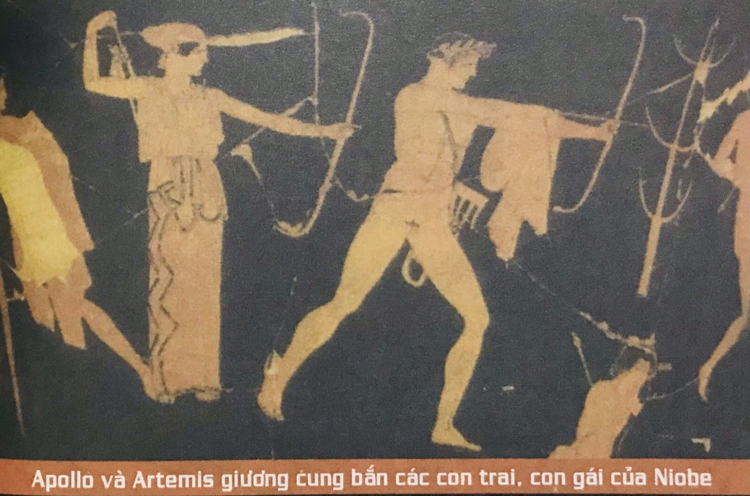 Nội dung hấp dẫn, tranh minh hoạ sắc nét, màu vẽ sặc sỡ.